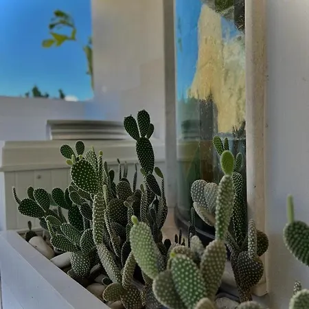 Ippolita Palace Οτράντο